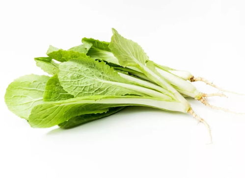 應(yīng)季養(yǎng)生｜冬季餐桌必備 這幾種時令蔬菜不僅營養(yǎng)豐富，還能增強抵抗力